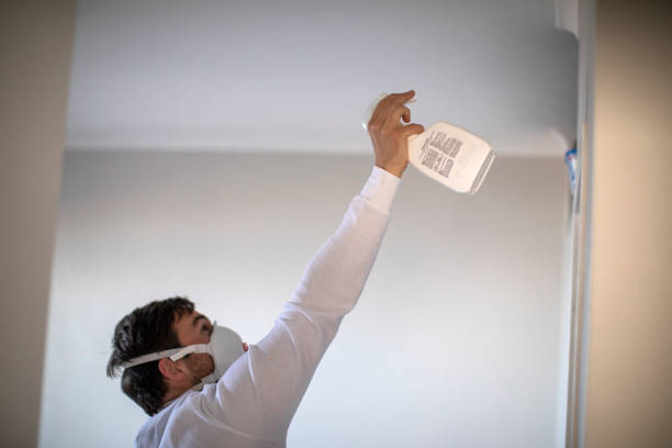 Best Mold Damage Repair  in Hlside, IL